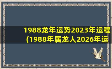 1988龙年运势2023年运程(1988年属龙人2026年运势运程)