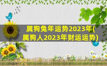 属狗兔年运势2023年(属狗人2023年财运运势)