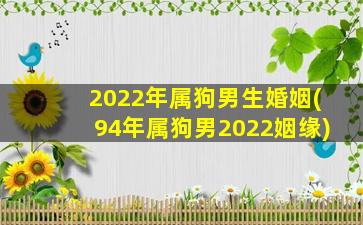 2022年属狗男生婚姻(94年属狗男2022姻缘)