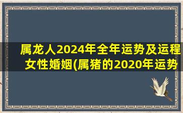 属龙人2024年全年运势及运程女性婚姻(属猪的2020年运势怎么样)