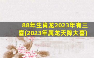 88年生肖龙2023年有三喜(