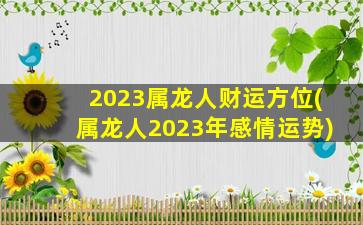 2023属龙人财运方位(属龙
