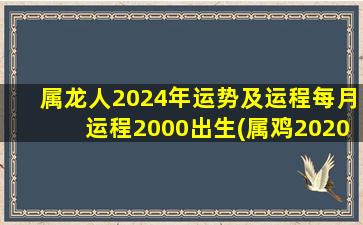 属龙人2024年运势及运程每月运程2000出生(属鸡2020年运势及运程)