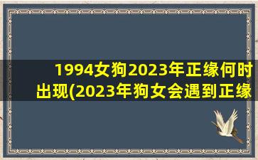 1994女狗2023年正缘何时出现(2023年狗女会遇到正缘吗)