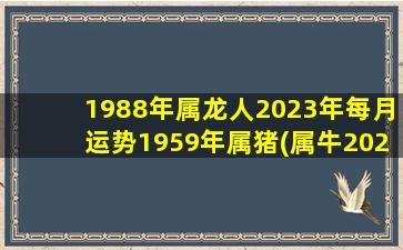 1988年属龙人2023年每月运