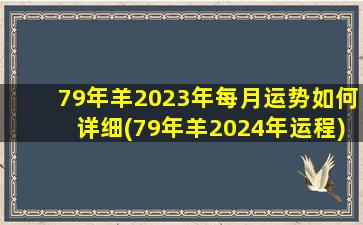 79年羊2023年每月运势如何详细(79年羊2024年运程)