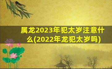属龙2023年犯太岁注意什么(2022年龙犯太岁吗)
