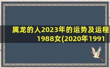 属龙的人2023年的运势及运程1988女(2020年1991属羊运势及运程)