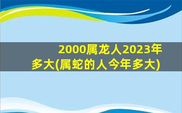 2000属龙人2023年多大(属蛇