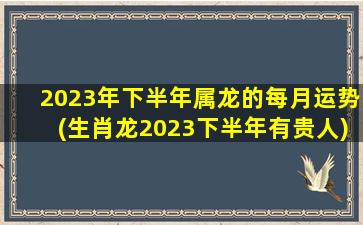 2023年下半年属龙的每月运势(生肖龙2023下半年有贵人)