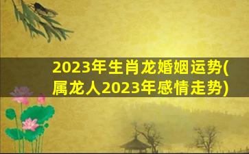 2023年生肖龙婚姻运势(属龙人2023年感情走势)