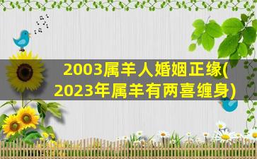 2003属羊人婚姻正缘(202