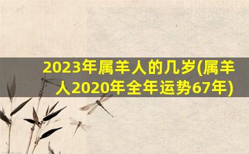 2023年属羊人的几岁(属羊人2020年全年运势67年)