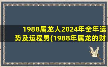 1988属龙人2024年全年运势及