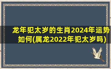 龙年犯太岁的生肖2024年运势如何(属龙2022年犯太岁吗)