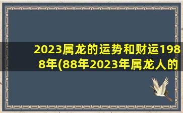 2023属龙的运势和财运1988年(88年2023年属龙人的全年运势)