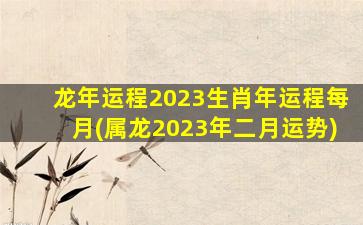 龙年运程2023生肖年运程每