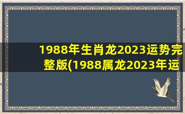 1988年生肖龙2023运势完整版