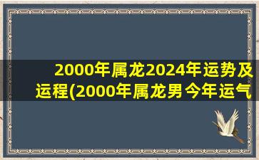 2000年属龙2024年运势及运程(2000年属龙男今年运气)