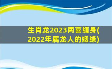 生肖龙2023两喜缠身(2022年