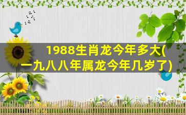 1988生肖龙今年多大(一九