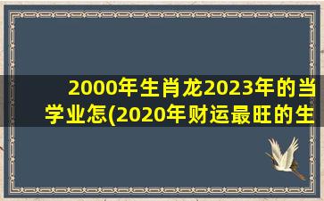 2000年生肖龙2023年的当学业怎(2020年财运最旺的生肖)