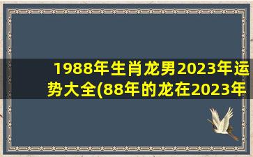 <strong>1988年生肖龙男2023年运势</strong>