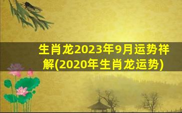 生肖龙2023年9月运势祥解(2020年生肖龙运势)