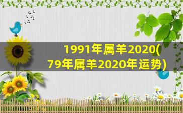 1991年属羊2020(79年属羊