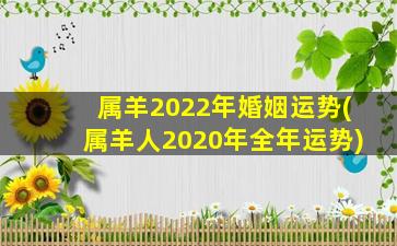 属羊2022年婚姻运势(属羊人2020年全年运势)