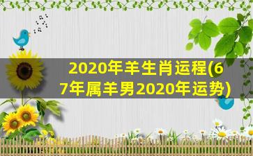 2020年羊生肖运程(67年属羊男2020年运势)