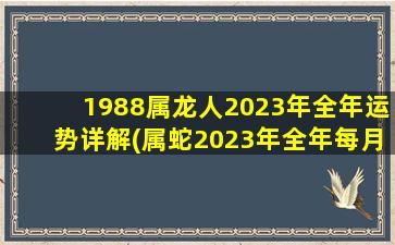 1988属龙人2023年全年运势详解(属蛇2023年全年每月运势运程)