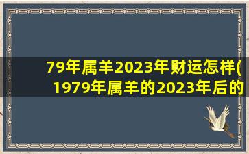79年属羊2023年财运怎样(1979年属羊的2023年后的大运)