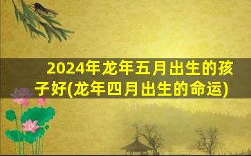 <strong>2024年龙年五月出生的孩</strong>