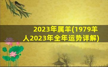 2023年属羊(1979羊人2023年全年运势详解)