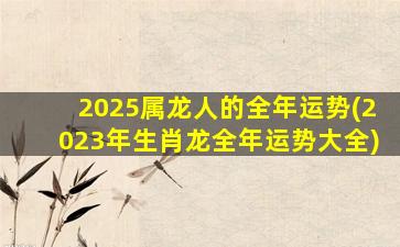 2025属龙人的全年运势(