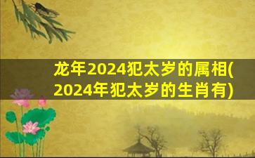 龙年2024犯太岁的属相(20
