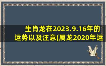 生肖龙在2023.9.16年的运势以及注意(属龙2020年运势女)