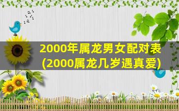 2000年属龙男女配对表(20