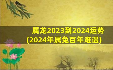 属龙2023到2024运势(2024年