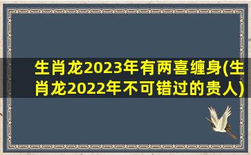 生肖龙2023年有两喜缠身(生肖龙2022年不可错过的贵人)