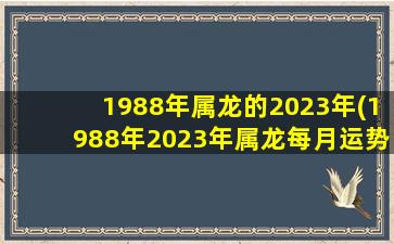 1988年属龙的2023年(1988年2023年属龙每月运势)