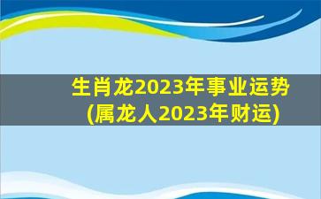 生肖龙2023年事业运势(属龙人2023年财运)
