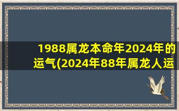 1988属龙本命年2024年的运气(2024年88年属龙人运势)