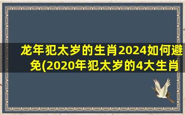 龙年犯太岁的生肖2024如何避免(2020年犯太岁的4大生肖)