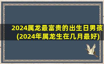 <strong>2024属龙最富贵的出生日</strong>