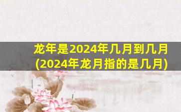龙年是2024年几月到几月(2024年龙月指的是几月)