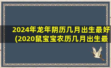 2024年龙年阴历几月出生最