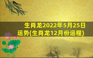 生肖龙2022年5月25日运势(生肖龙12月份运程)