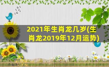 2021年生肖龙几岁(生肖龙